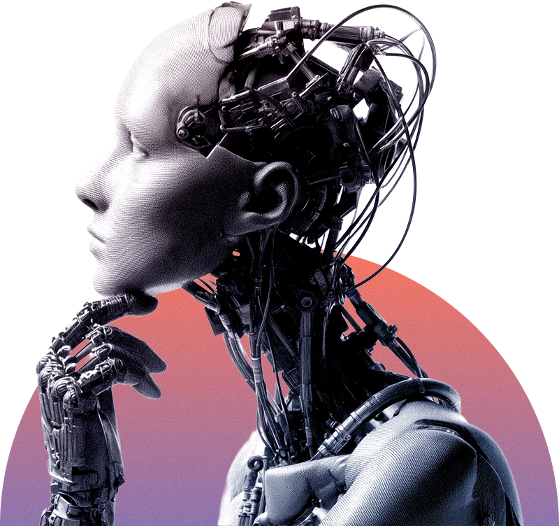 AI Search Optimization